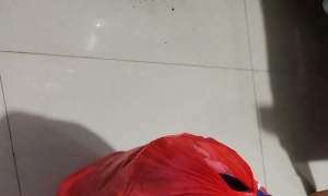 ��л��һŵС���Ѿ���������