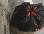 ��л����־Ը�߻���Ȫ�ͻ��������·�