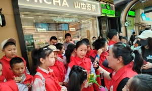 ����������12��