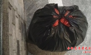 ��л����־Ը�߻���Ȫ�ͻ��������·�