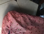 ��л�����ܾ������·�