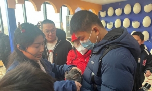 �����������涯����԰