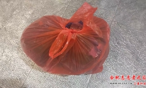 ��л����־Ը�߻���Ȫ�ͻ��������·�