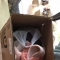 ��л����ŵͬѧ�������·�