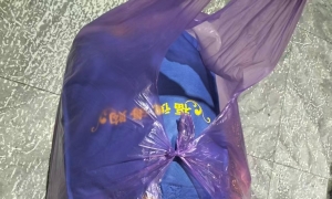 ��л����־Ը�߻���Ȫ�ͻ��������·�