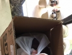 ��л����ŵͬѧ�������·�