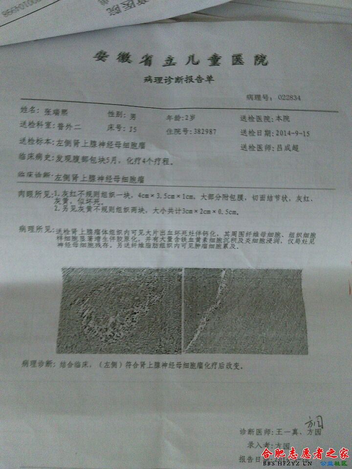 43CD44CA85B61B81E28726A029765F1A.jpg
