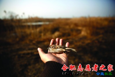 f91675c5-8179-4df1-ae63-9d0ce0b99737.jpg