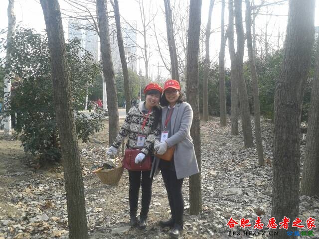155925p8sd8xbf368n9lno.jpg