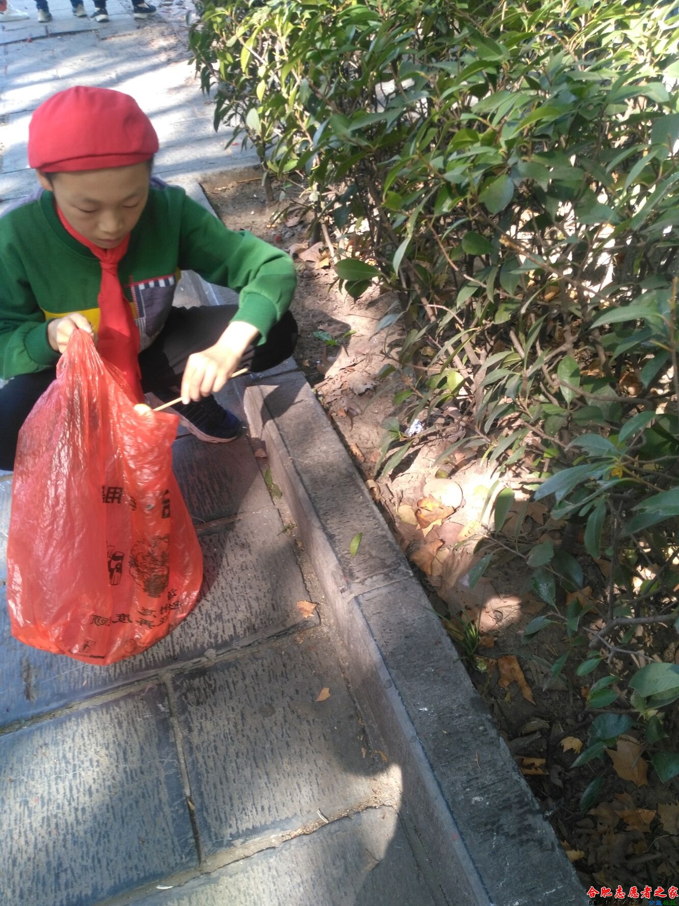 QQ图片20181007144048.jpg