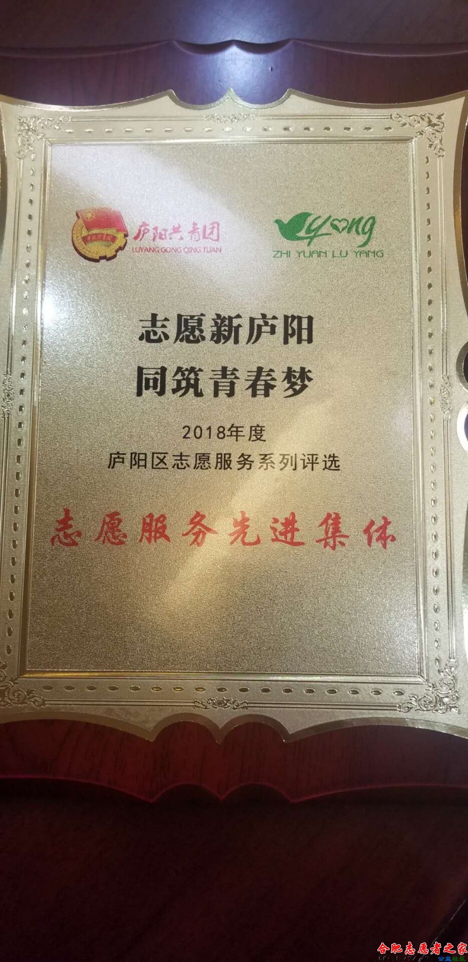 QQͼƬ20190305221207.jpg