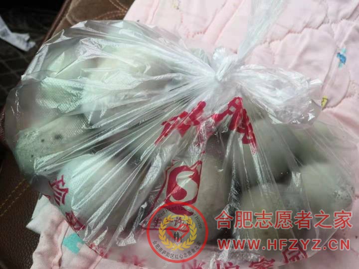224540hped7n18fe33dm33.jpg