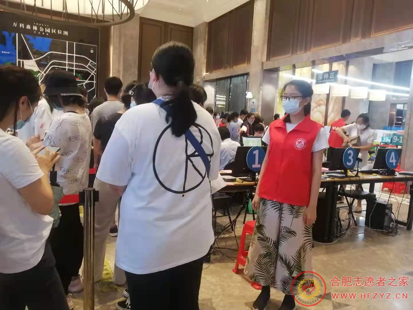 mmexport1629292898671.jpg
