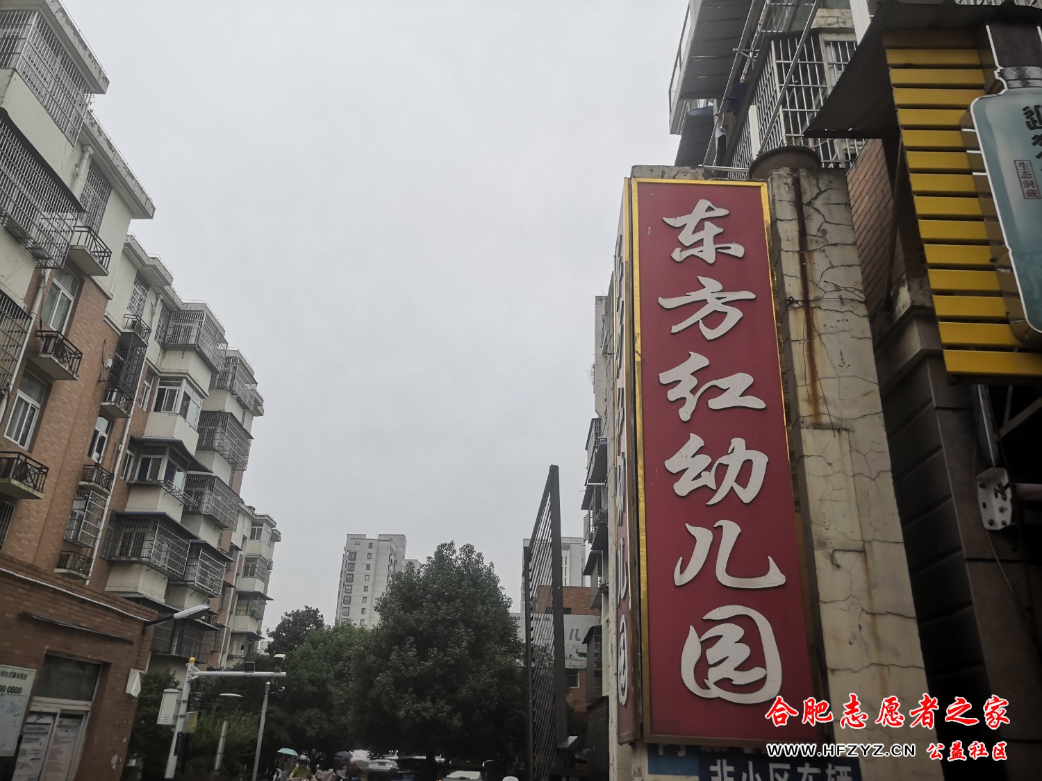 IMG_20230616_083507.jpg