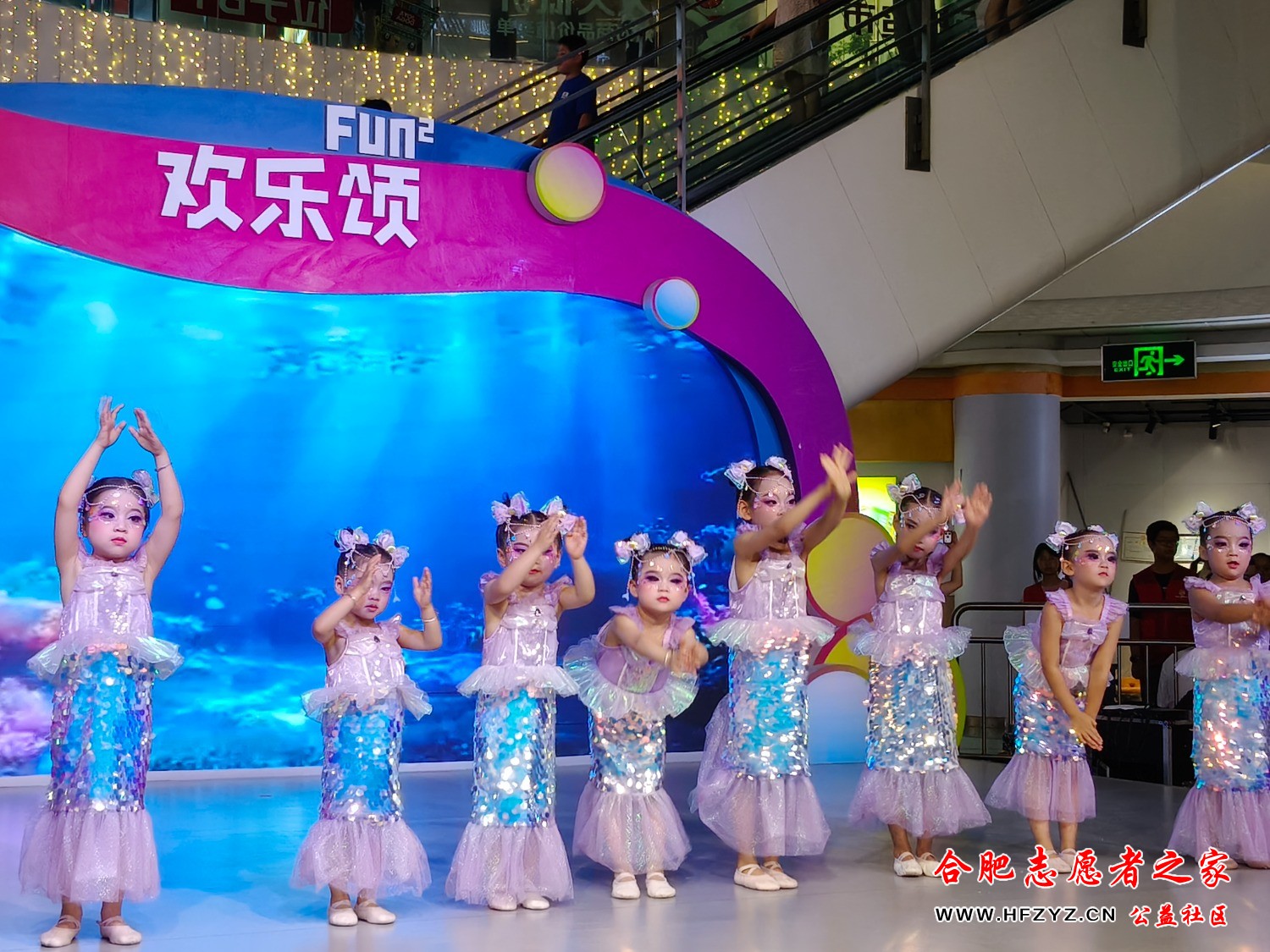 IMG20260725165147.jpg
